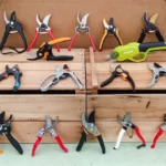 best pruning shears for fruit trees